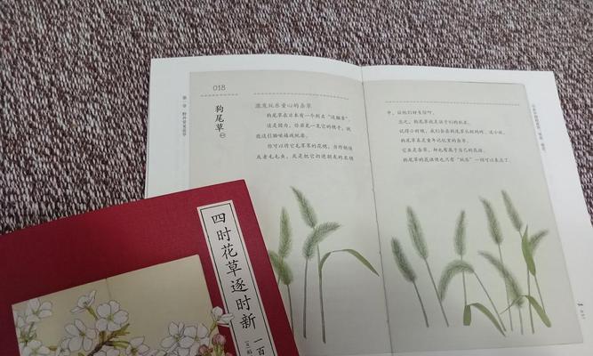 故事开始的花语有何深意？