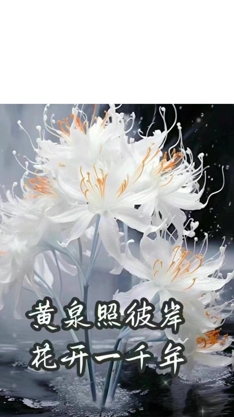有花的树的花语有何寓意？
