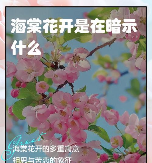 海棠花的花语是什么？寓意了哪些情感？
