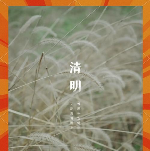 油菜花的花语代表了什么？