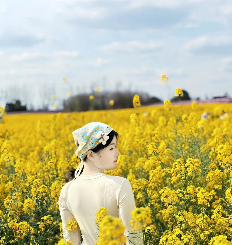 油菜花的花语代表了什么？