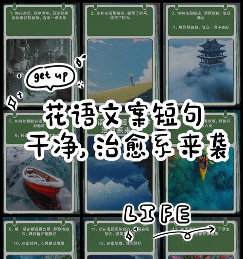 治愈系花语的含义是什么？