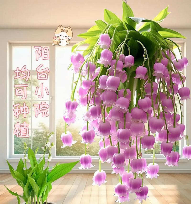 铃兰花送给闺蜜有何寓意和花语？