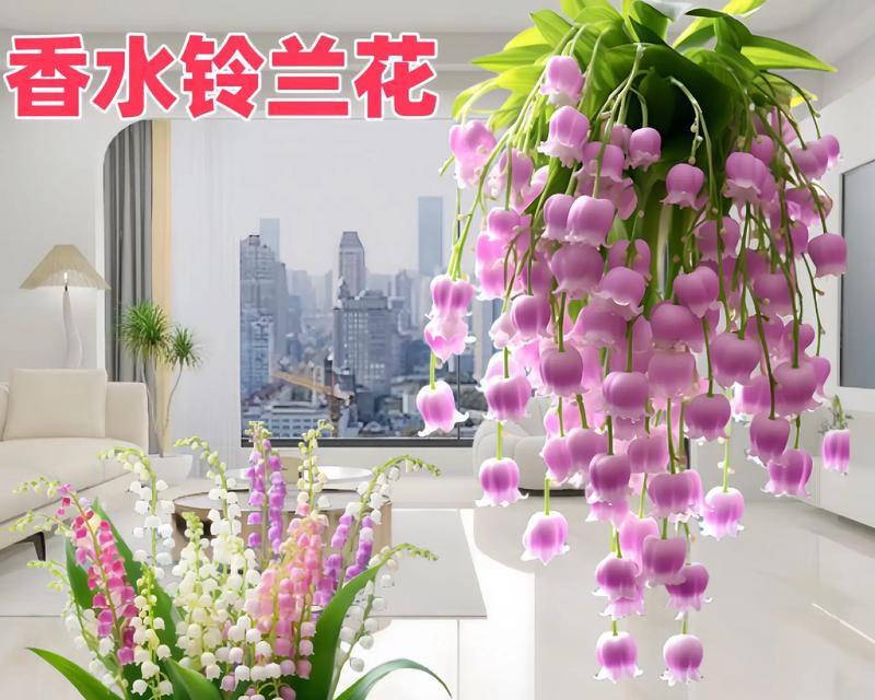 铃兰花送给闺蜜有何寓意和花语？