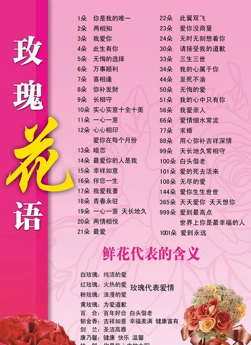 霜雪玫瑰花的花语有何深意？