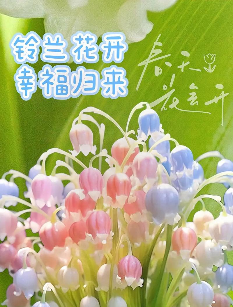 百花皆有花语是什么意思？每种花的花语有何不同？