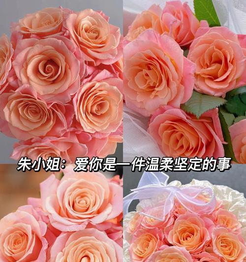哪种花语象征初恋？