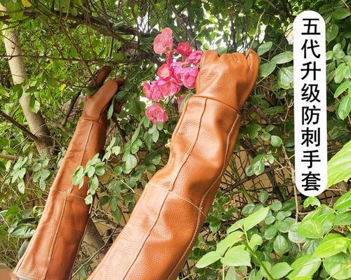 仙人球种植手套的正确使用方法是什么？如何使用种植工具？