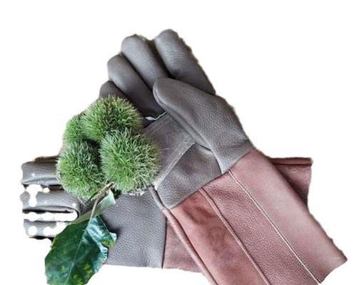仙人球种植手套的正确使用方法是什么？如何使用种植工具？