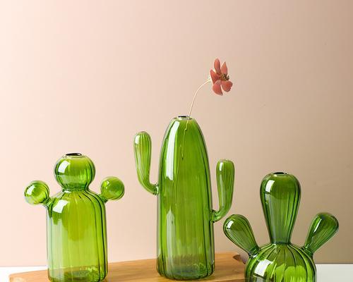 如何养护祖母仙人掌绿花瓶？