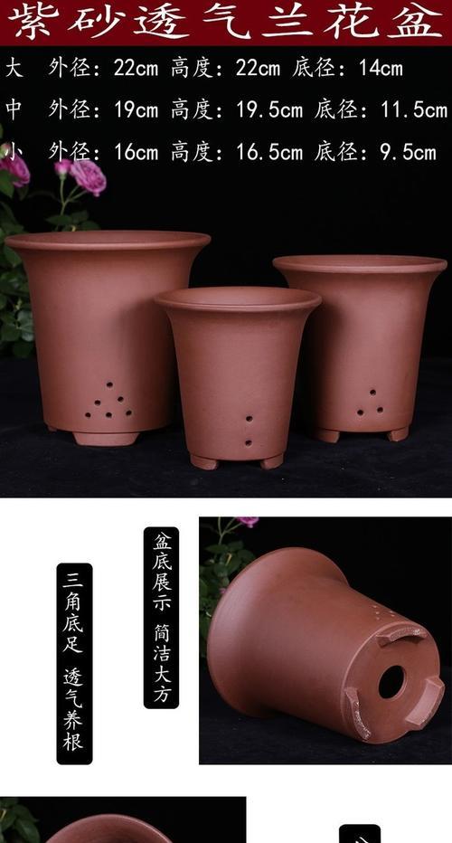 购买君子兰花盆时应注意什么？如何选择合适的尺寸和材质？