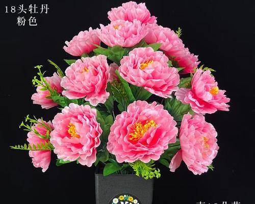牡丹花泥插花的正确养护方法是什么？