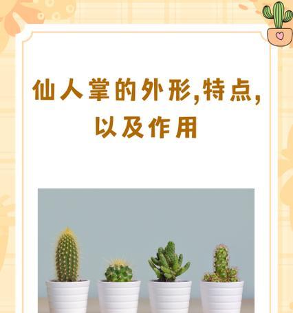 仙人掌施肥的正确方法是什么？