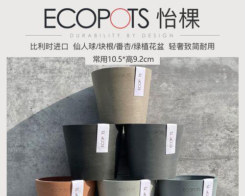 仙人球花盆小饰品的作用是什么？
