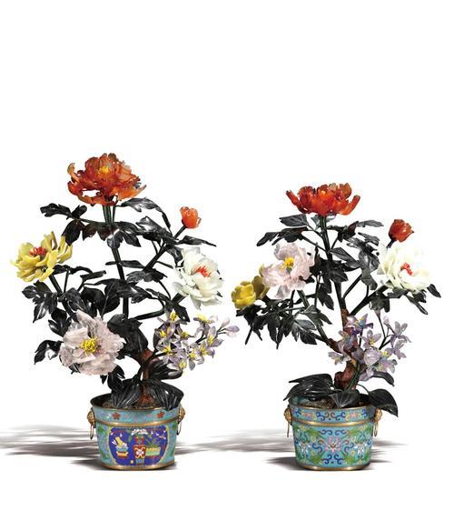 新买的牡丹花盆栽需要注意什么？