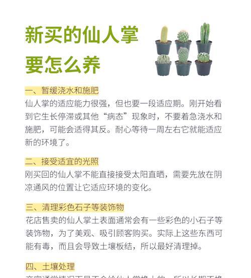 仙人球冬季浇水的最佳时机？