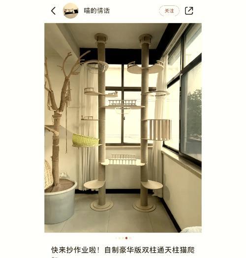 仙人掌立柱猫爬架的养护方法是什么？如何确保猫咪安全使用？