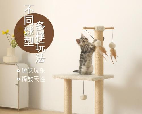 仙人掌立柱猫爬架的养护方法是什么？如何确保猫咪安全使用？