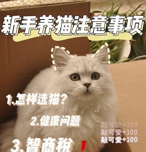 鱼尾纹仙人球好养吗怎么养？有哪些注意事项？