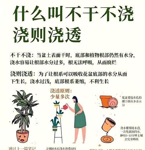 米哈仙人球冬天浇水有什么讲究？如何正确浇水？