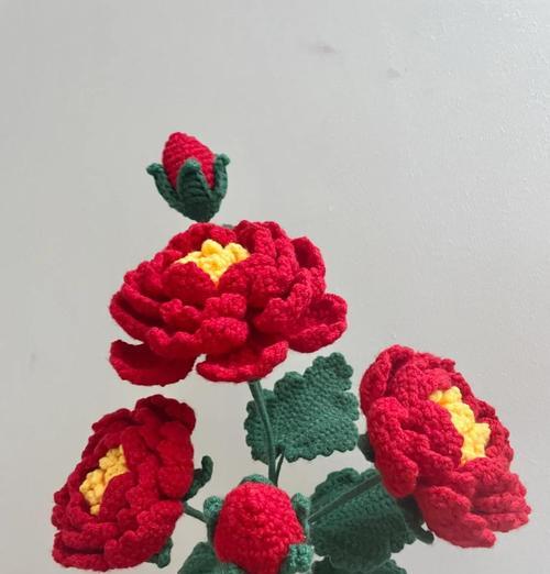 自己如何养好牡丹花？牡丹花的正确养护方法是什么？