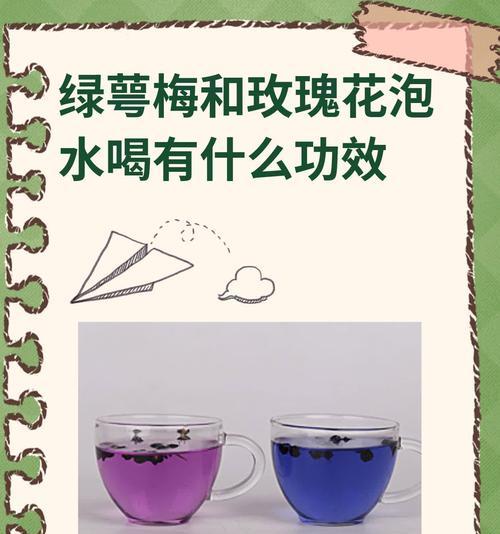 绿玫瑰花的养护方法是什么？如何保持其鲜艳的颜色？