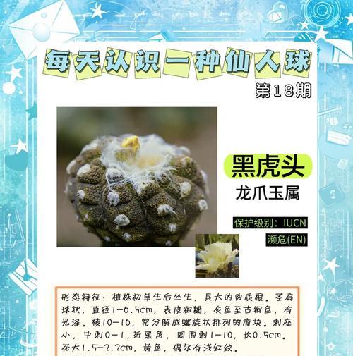 仙人球长斑点的原因是什么？如何预防和处理？