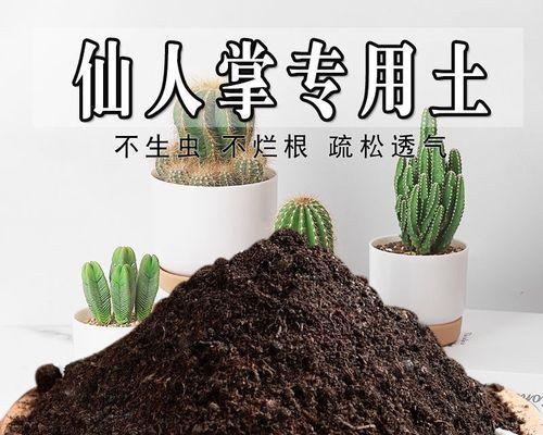 仙人球生长所需的肥料种类和使用方法是什么？