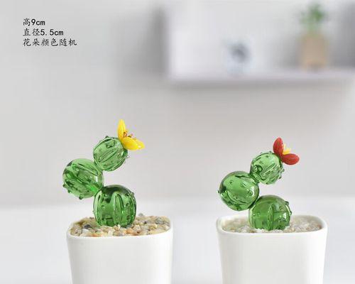 仙人球盆景小摆件的摆放技巧是什么？
