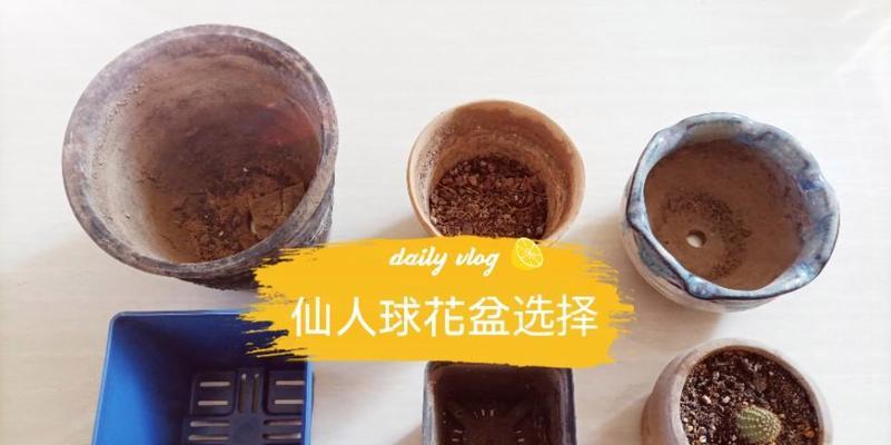 种植仙人球时应选择哪种花盆和土壤？