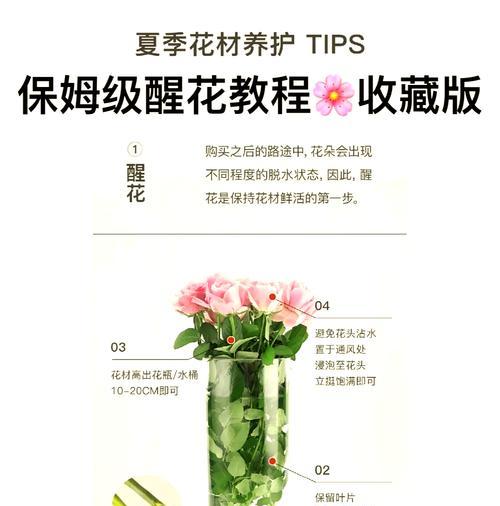 玫瑰花杆种植发芽的秘诀是什么？