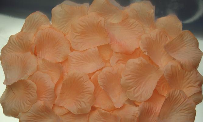 如何养护玫瑰花花瓣假花？
