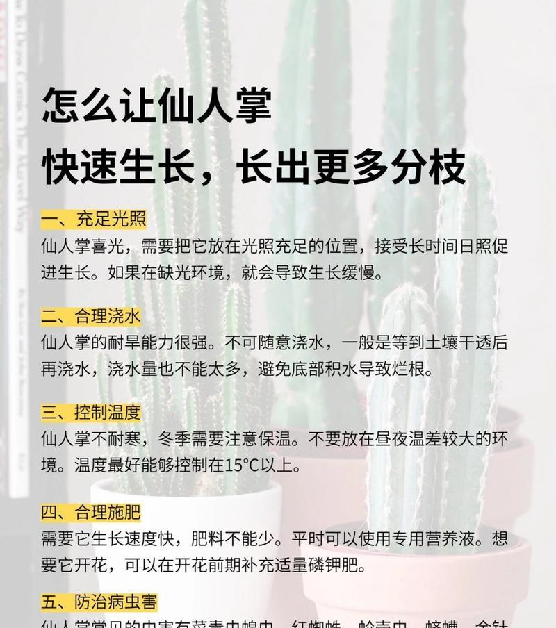 春天仙人掌的养护技巧有哪些？如何促进生长？