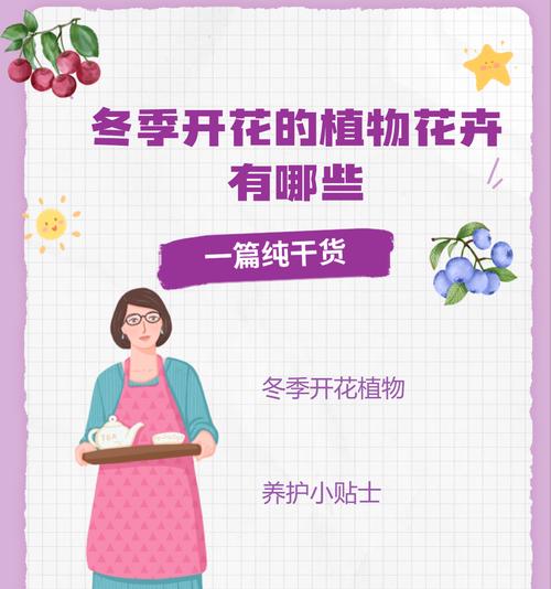 君子兰过冬后不长叶子的原因是什么？如何促进其生长？