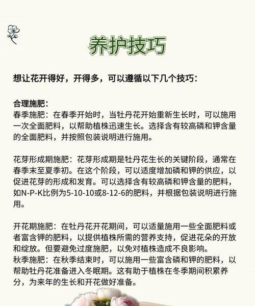 牡丹花在秋季应该如何养殖？