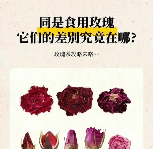 哪些玫瑰花品种最有功底？如何识别它们？