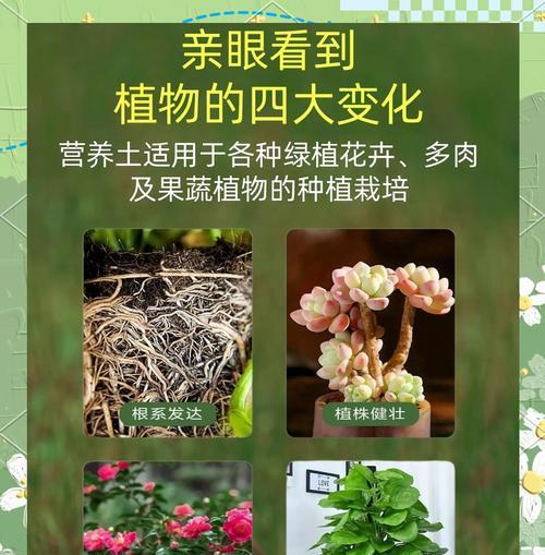 牡丹花土壤营养土的配制方法是什么？