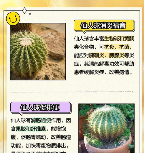 仙人球形状不圆时如何恢复？