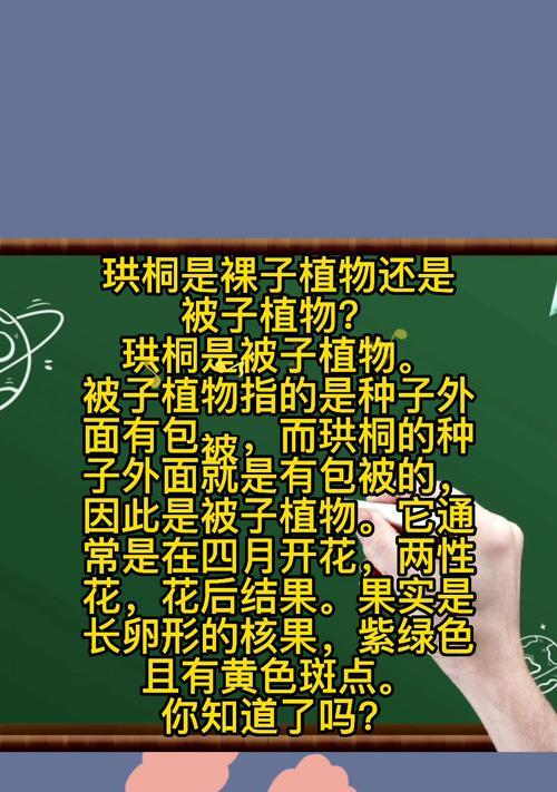 木樨属于裸子植物吗？木樨的分类和特点是什么？
