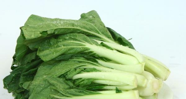 奶白菜可以生吃吗？食用安全性和营养价值解析
