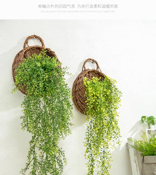 奶茶店适合放置哪些植物来招财？这些植物有什么特别含义？