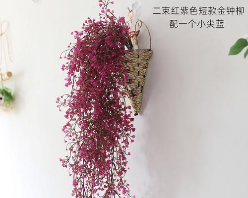 奶茶店适合养什么花？哪些花卉能提升店内氛围？