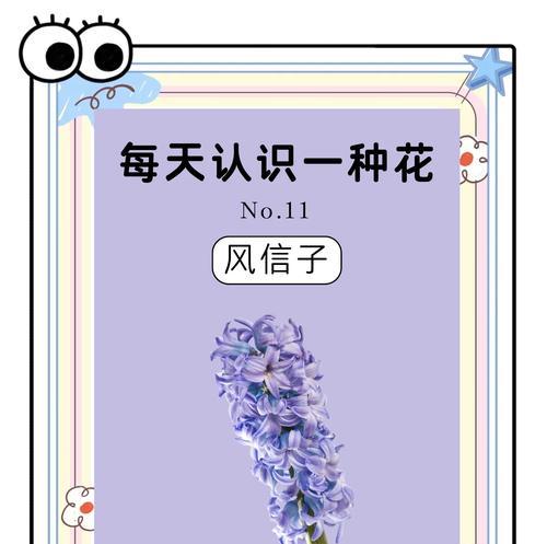 风信子花语的梗有何深意？风信子花语的梗是什么？