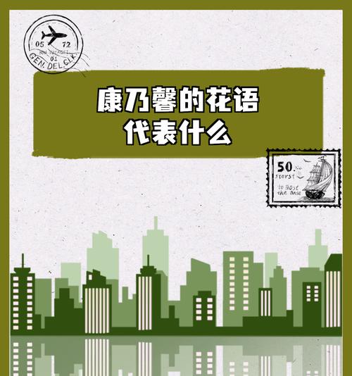 野马康乃馨的花语是什么？它代表了哪些情感？