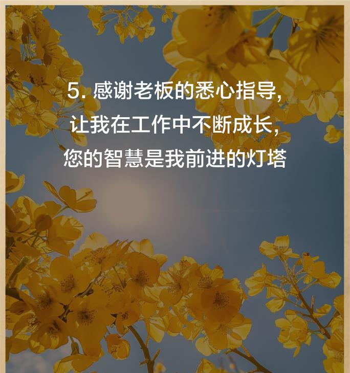 道歉和感谢的花语有哪些？