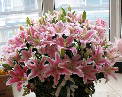 依米花的花语代表什么？依米花语有何深意？