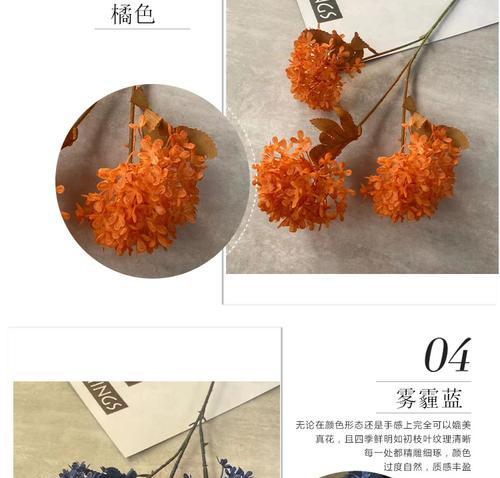 木绣球在道具中代表什么？