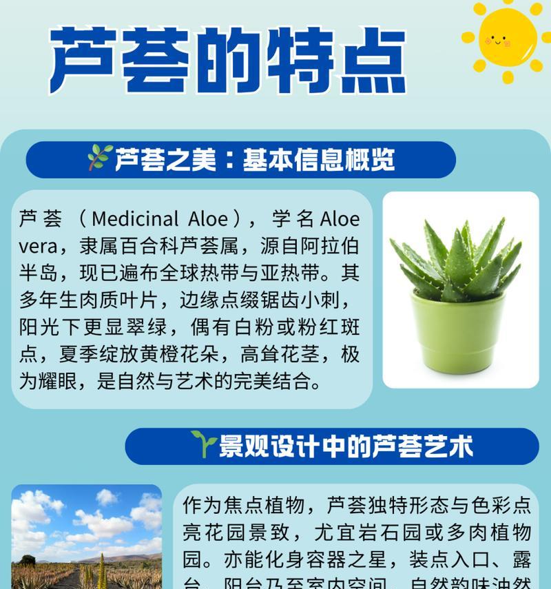 虎斑芦荟的花语有何特别之处？