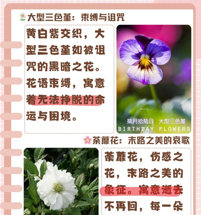 彼岸花花语的来源是什么？探索彼岸花的传说与文化。