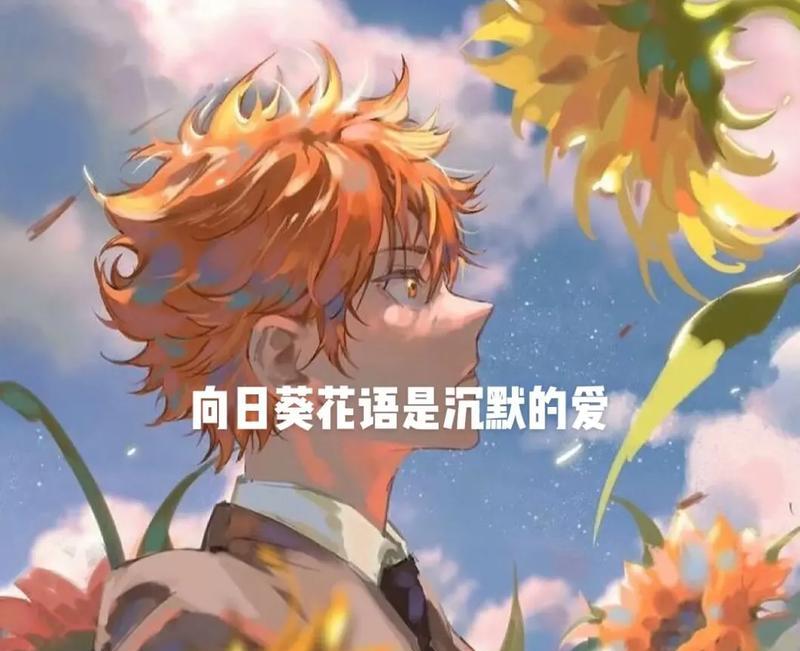蓝色太阳花的花语有何特别之处？